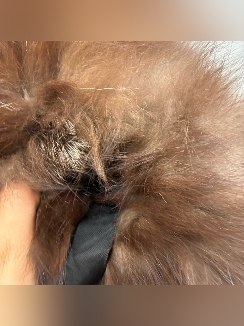 Real Beaver Fur Hand Warmer Muff Brown Chocolate Ski Luxury Warm Winter Outdoor - Picture 5 of 6